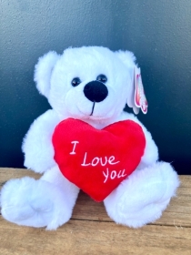 White plush Teddy Bear